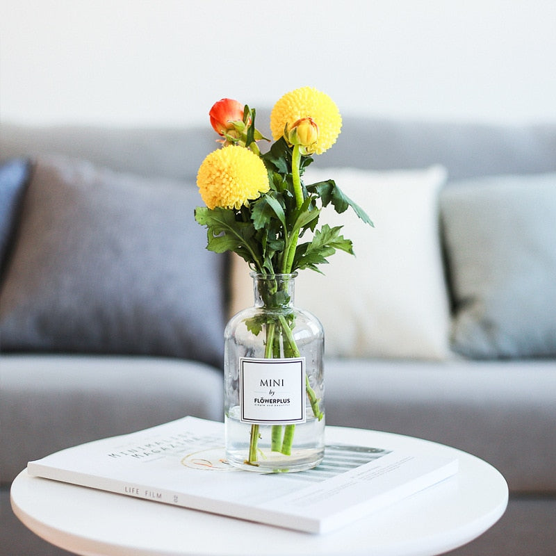 Tabletop Vase for Home Decoration Europe Nordic Design Vase for Flower Glass Arts Living Room Decoration Flower Vase
