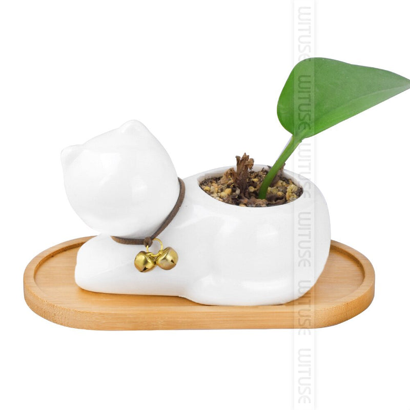1PC 14 Design Flower Pot Holder Fleshy Bonsai Pad Bamboo Tray Wooden Flowerpot Tray Home Office Decor Planter Pots Mat Stand