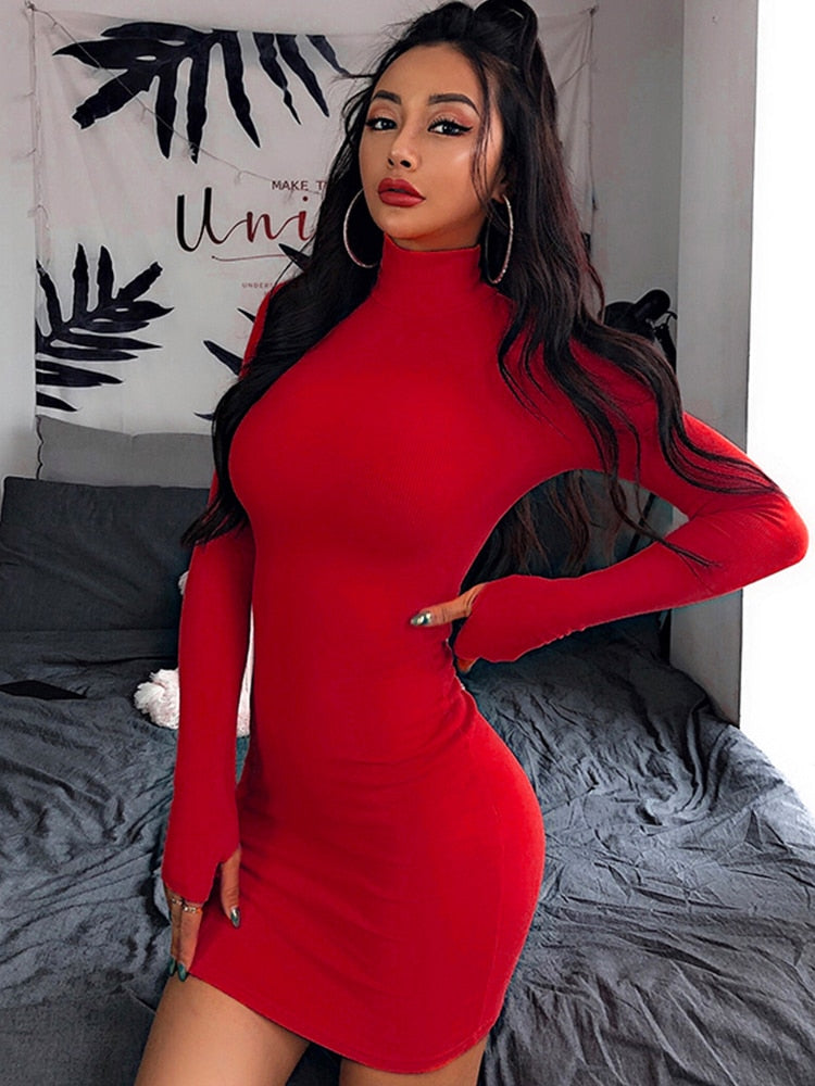 InstaHot Turtleneck Long Sleeve Skinny Dress Minimalist Autumn Knitted Casual Basic Mini Dress 8 Colors Elegant Party Slim Dress