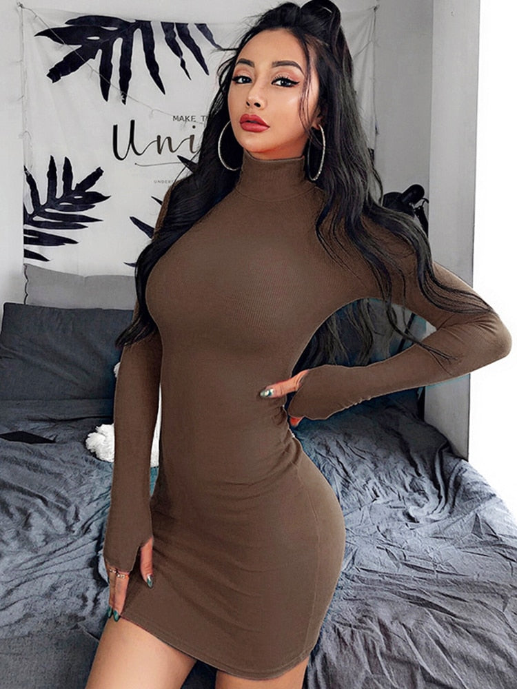 InstaHot Turtleneck Long Sleeve Skinny Dress Minimalist Autumn Knitted Casual Basic Mini Dress 8 Colors Elegant Party Slim Dress